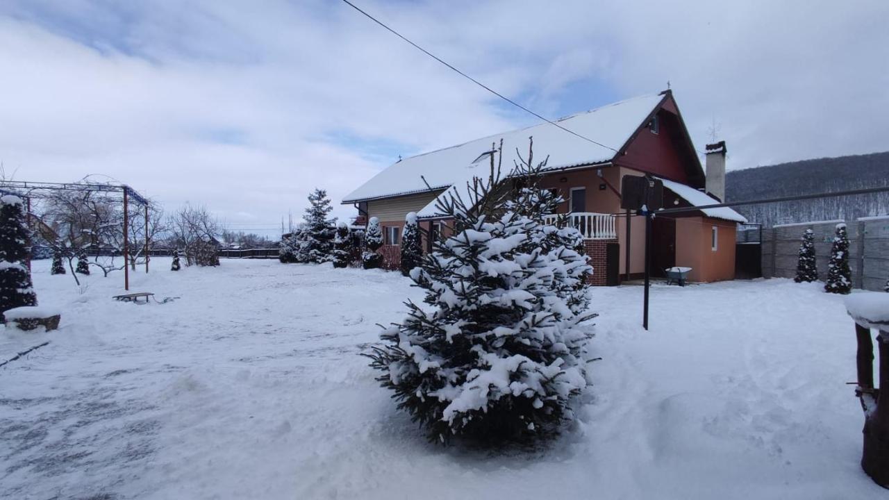 Отель Casa Neagu Ковасна Экстерьер фото